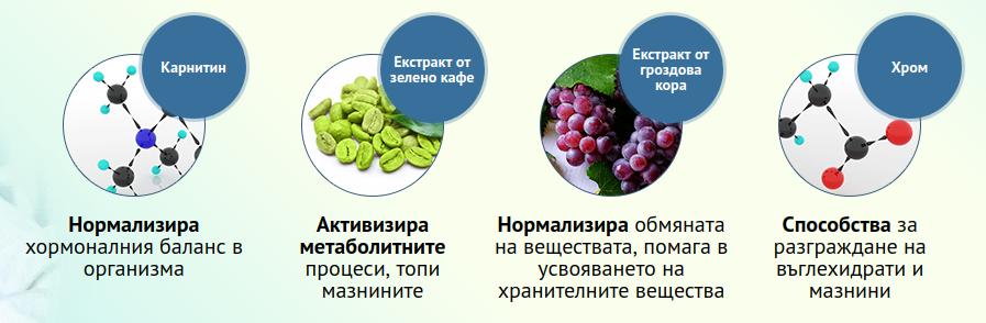 Eco slim pret moldova Segít-e a vodka a zsírégetésben?