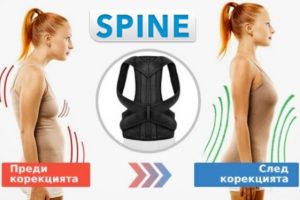 Spine Магнитен Коректор на позата – Цена в България и Мнения
